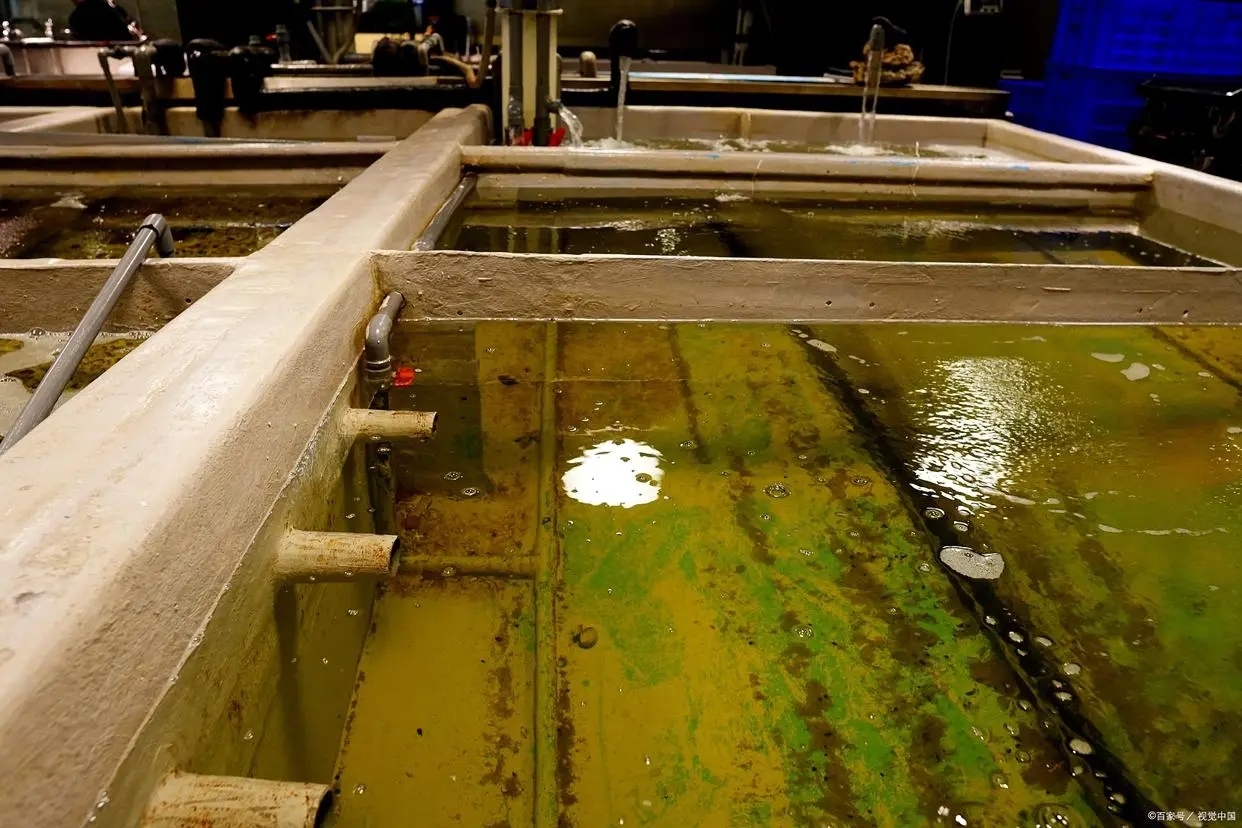 工業(yè)含油廢水破乳劑